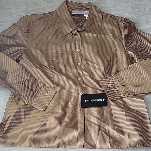 Worthington Tops - Worthington Brown Pinstripe Button Down Shirt